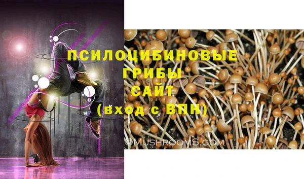 дживик Алексеевка