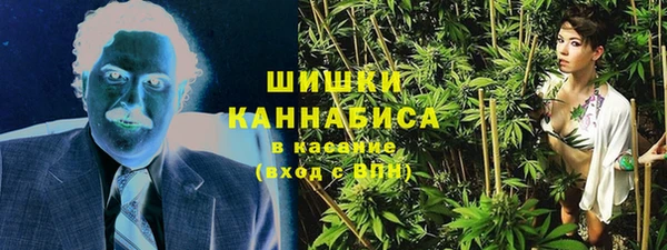 сатива Алексин