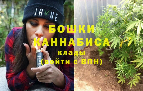 сатива Алексин