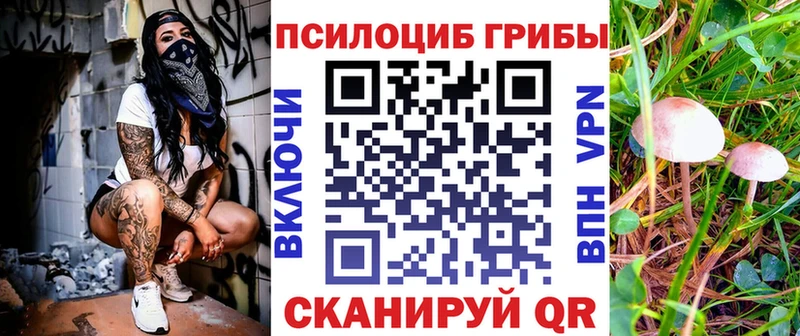 Псилоцибиновые грибы Psilocybine cubensis  цена наркотик  Канаш 