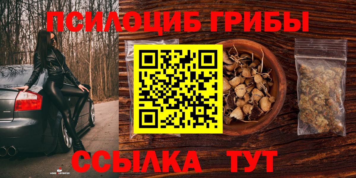 Канаш  Галлюциногенные грибы Psilocybine cubensis  Галлюциногенные грибы ЛСД  Вход с VPN 